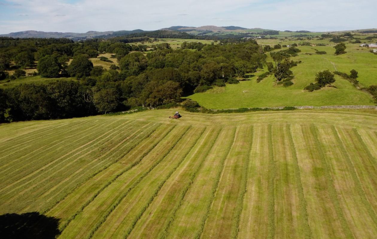 Silaging at Rainton Farm